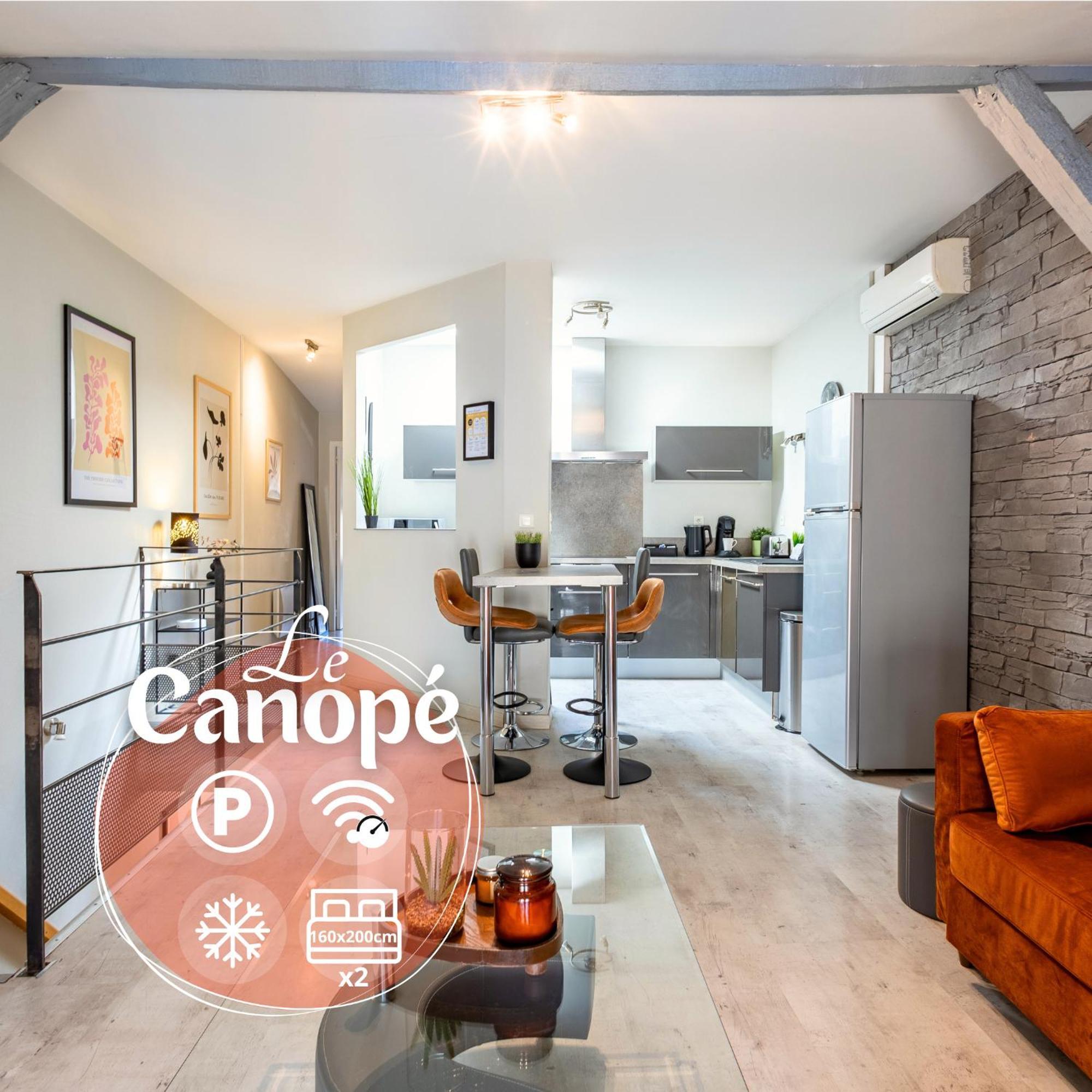 Le Canope - T3 Duplex, 2 Salles D'Eau, Hypercentre Castres  Exterior photo